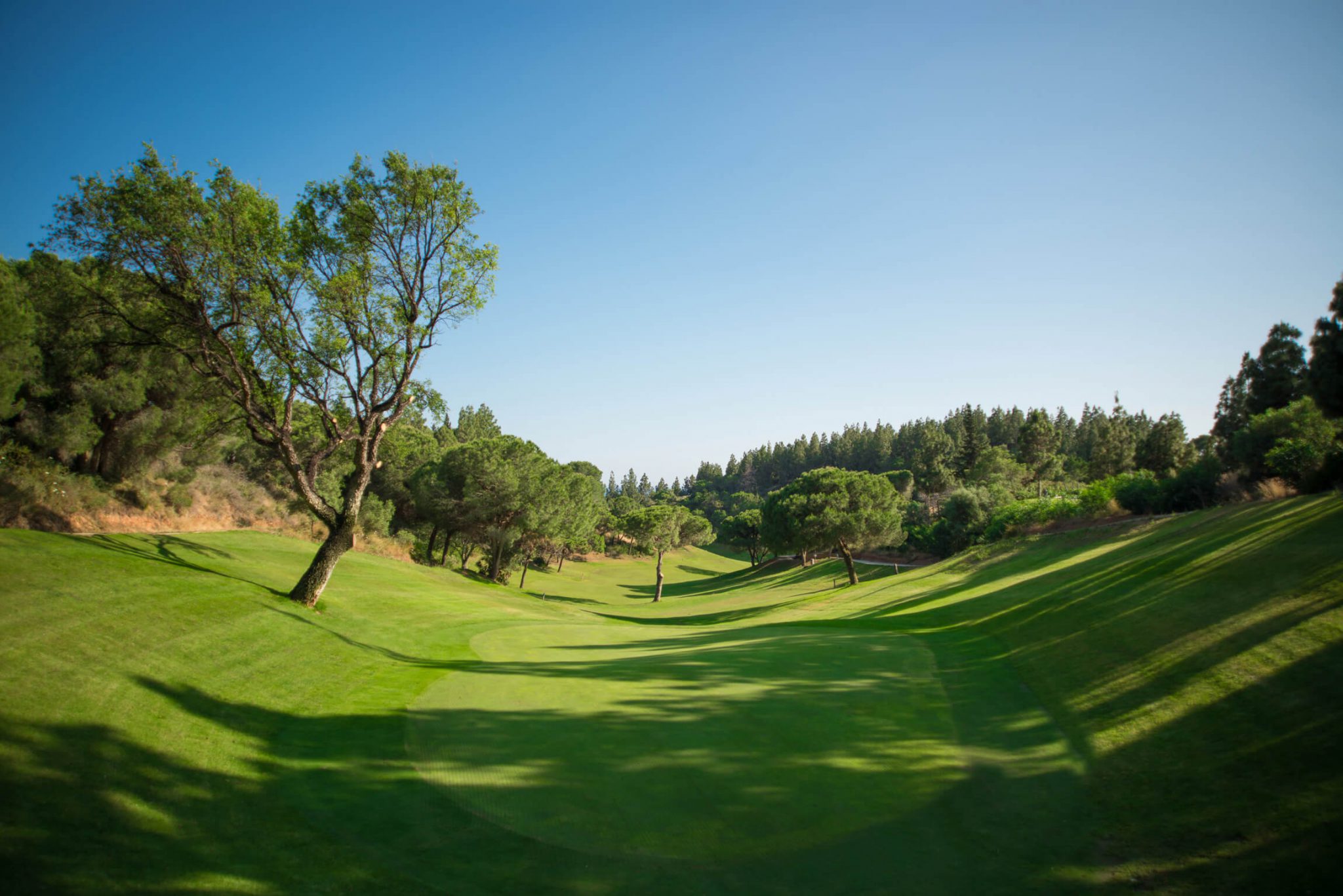 Hole 11 El Chaparral