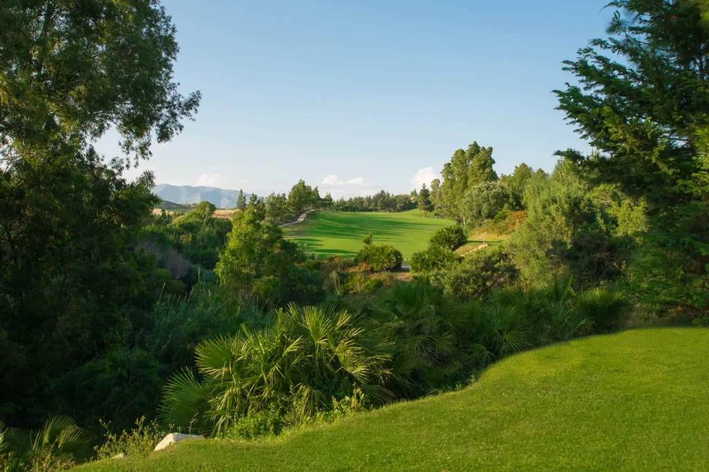 El Chaparral Golf Club - Image 6