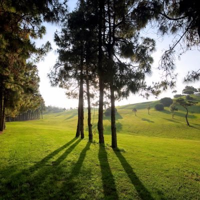 Chaparral Golf Mijas